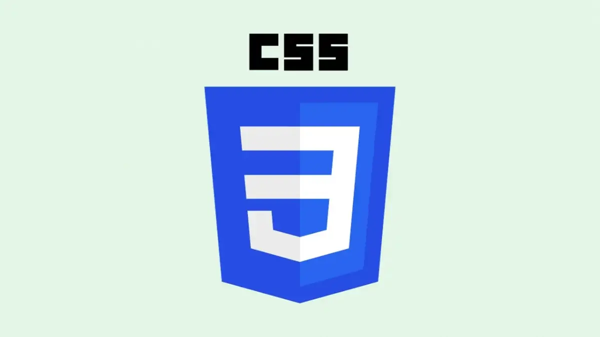 Css logo