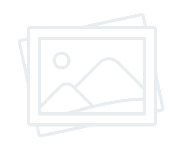 custom software development